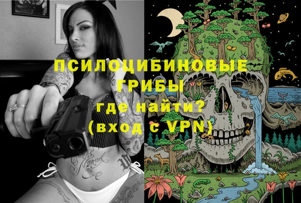 соль ск Белокуриха