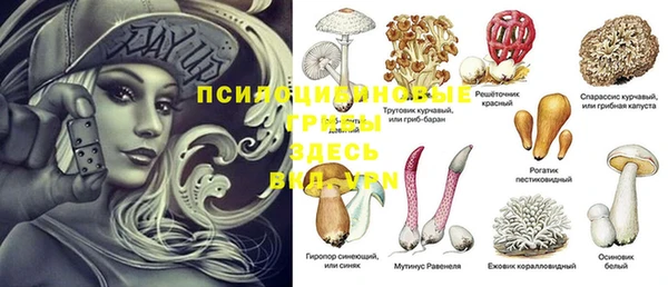 MESCALINE Богородск